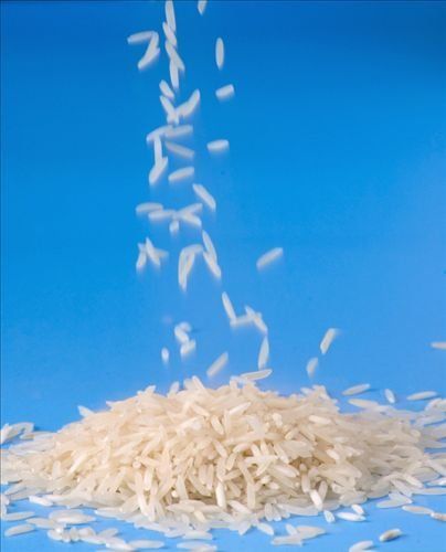 Vietnamese Short Grain rice,5%Broken