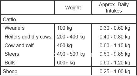 Animal feed for Pasture Supplements - Trueblend