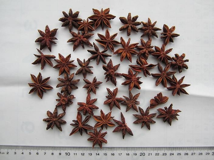 star anise seed