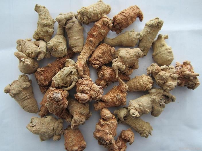 notoginseng root