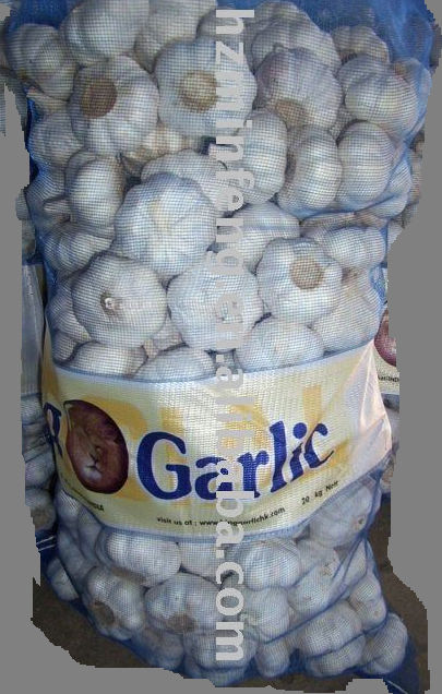 mesh-bag garlic