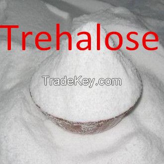 Hot sale Factory supply best quality pure Trehalose Price in bulk 