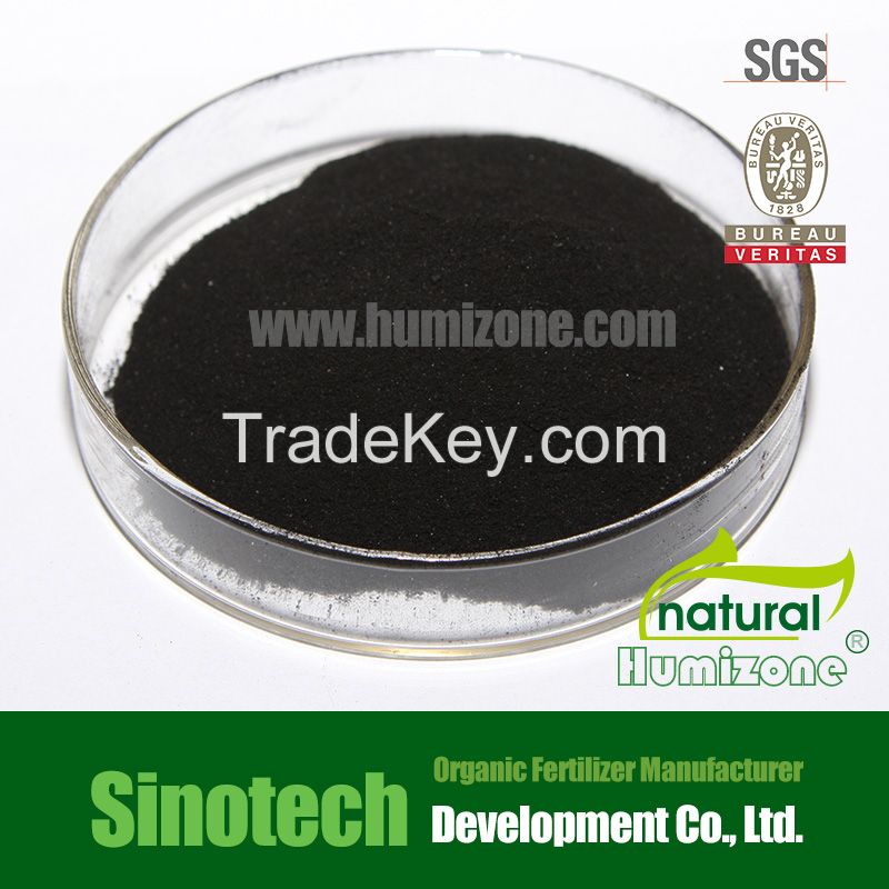 Humic Acid from Leonardite: Humizone Potassium Humate Powder (H090-P)