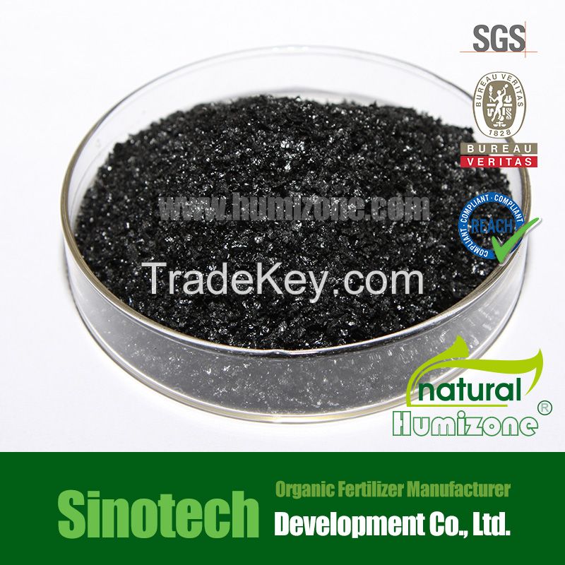 Humic Acid from Leonardite: Humizone Potassium Humate Powder (H080-P)