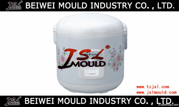 Precise plastic rice cooker mould