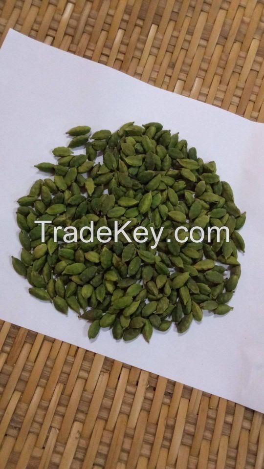 Indian Green Cardamom 