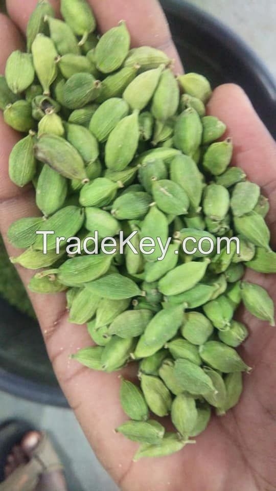 8mm+ high quality Green Cardamom 