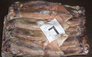 Frozen Argentina squid whole