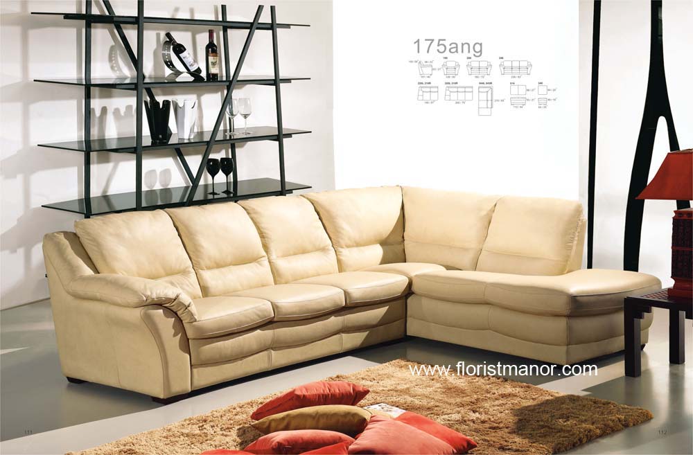 Sectional sofa IS29