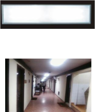 LED Ceiling Light 4x1