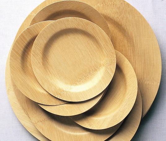 Dispossible bamboo plate