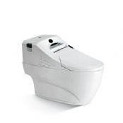 Auto One-piece Toilet