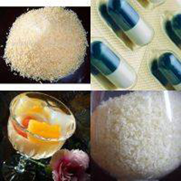 Pharmaceutical gelatin