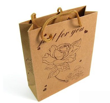 paper bag (promotional paper bag)