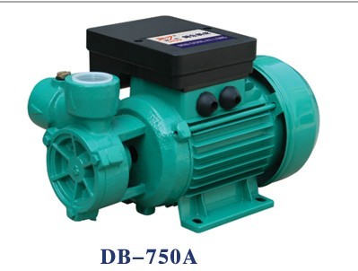 DB Series Clean Water Pump