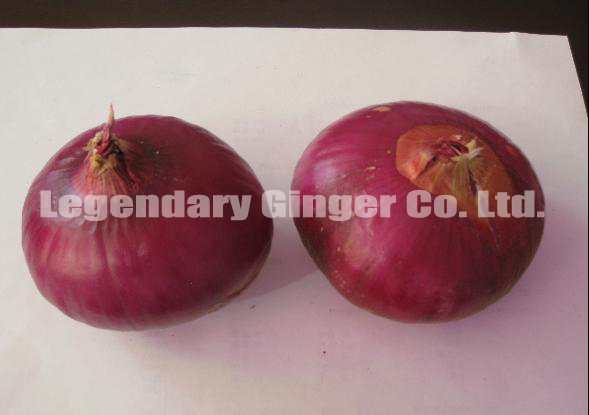 red fresh onion