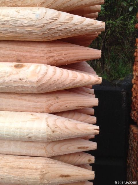 Round Tree Stakes  Douglas Fir