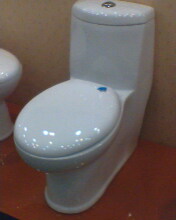 white one part toilet