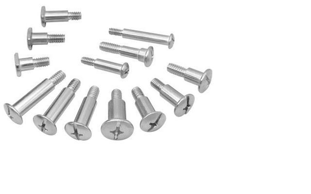 cover screw