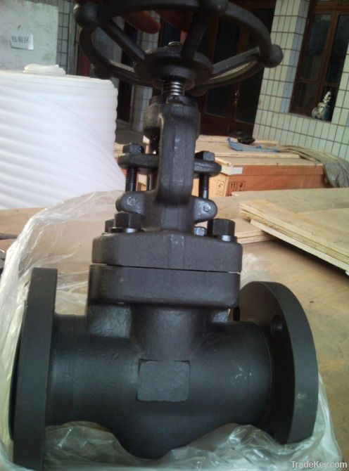 Forged Gate Valve - Flanged