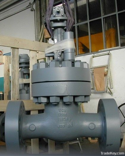 Rising Stem Gate Valve