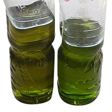 Grape Seed and its Oil and extracte