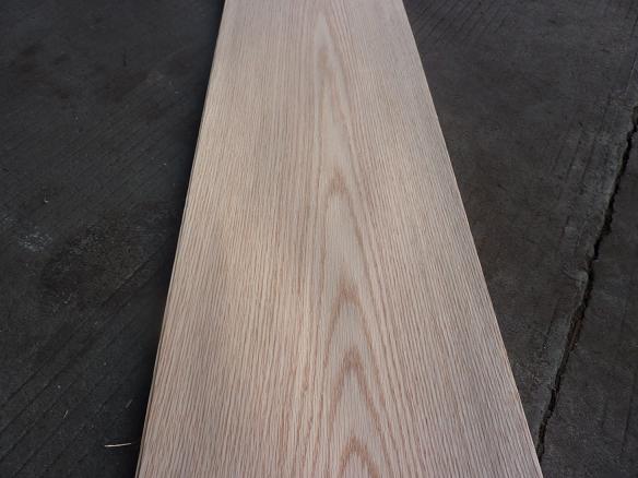 American Red Oak