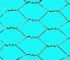 Hexagonal Wire Netting