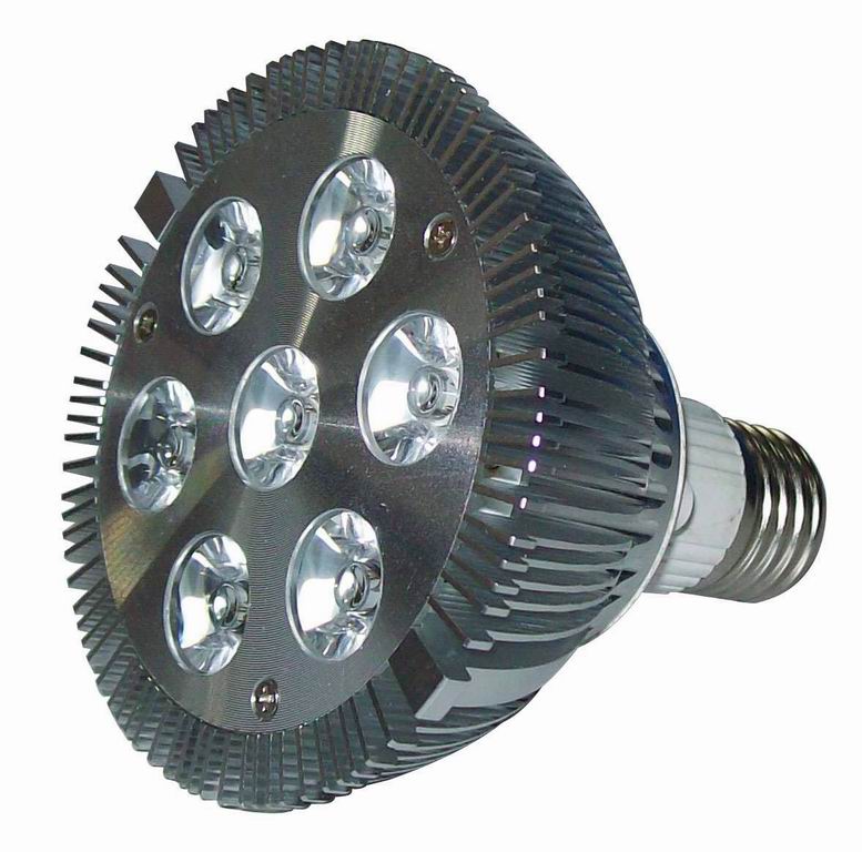 PAR38 LED Spotlight