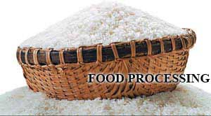 Viet Nam grain white rice 5 % Broken