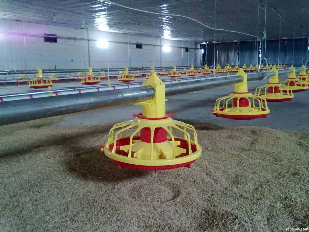 Automatic Poultry Feeder