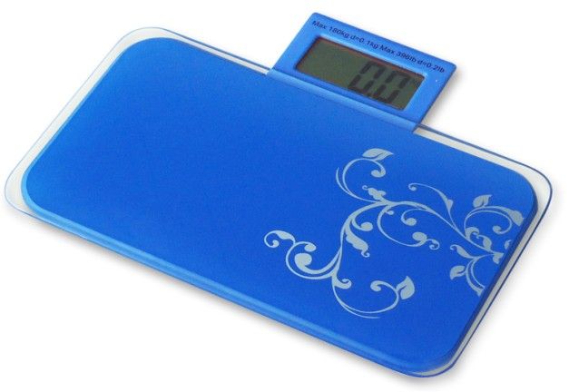 portable bathroom scales, portable person scales