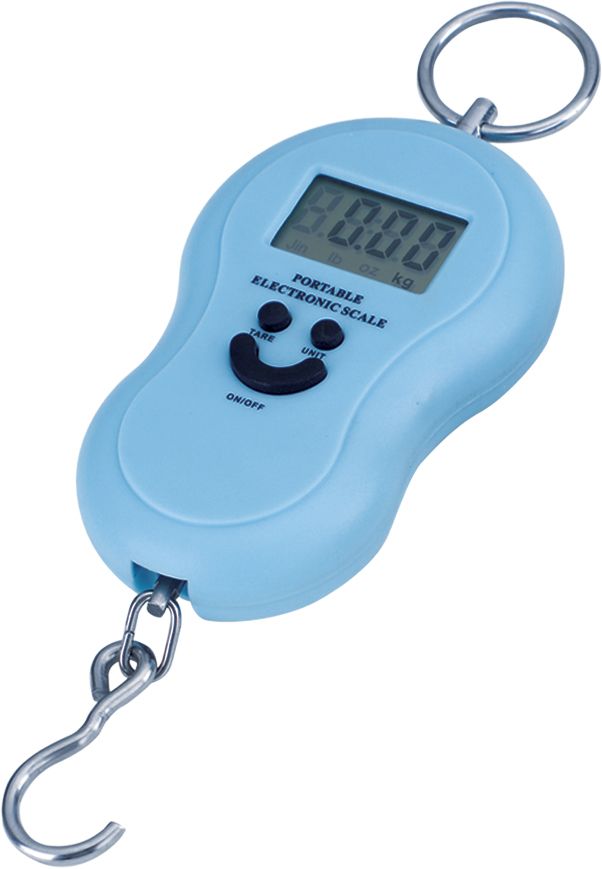 luggage scales