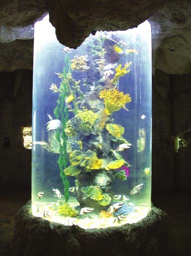 Acrylic tunnel tank, Aquarium