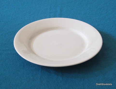 10.5 Inch Stocklot Porcelain dinner plate