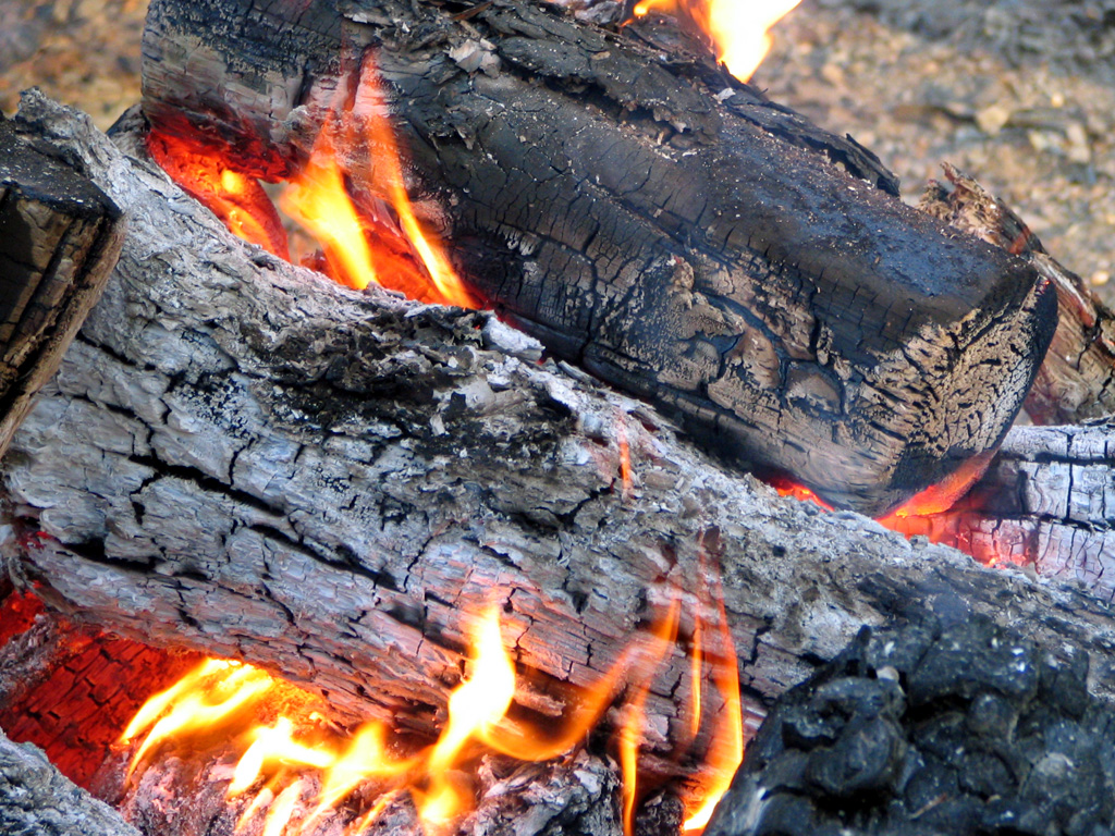 Firewood, charcoal