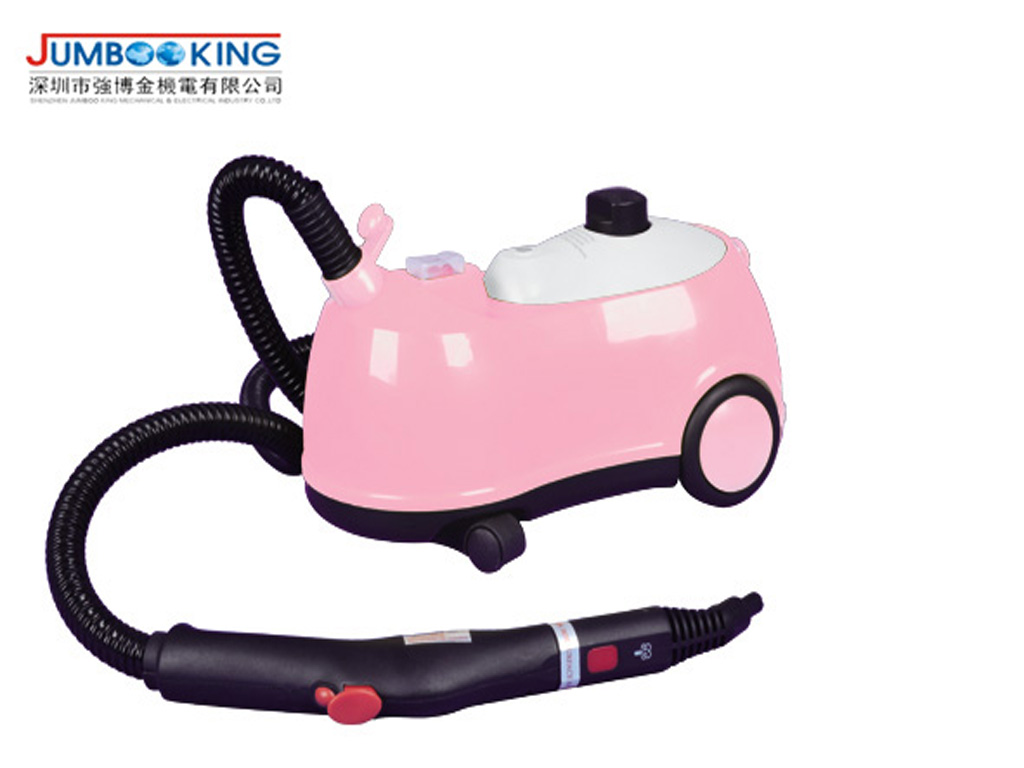 Steam Cleaner