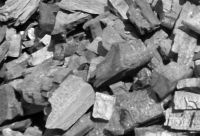 Hardwood Charcoal | BBQ Charcoals Suppliers | BBQ Charcoal Exporters | BBQ Charcoal Manufacturers | Cheap BBQ Charcoal | Wholesale BBQ Charcoals | Discounted BBQ Charcoal | Bulk BBQ Charcoals | BBQ Charcoal Buyer | Import BBQ Charcoal | BBQ Charcoal Impor