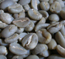 Sulawesi Green Bean Coffee