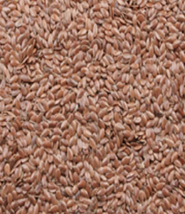 Flax seed