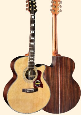 Acoustic Guitar