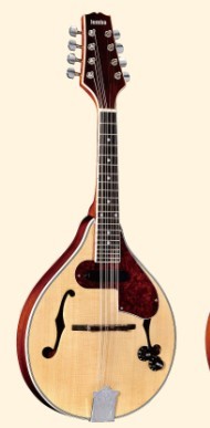 Mandolin