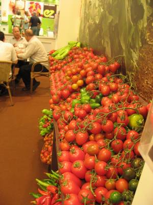 Hybrid Tomato Seeds