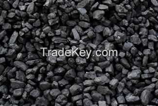 Steam Coal