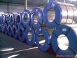 Galvanized/Galvalume Coil/Sheet/Plate