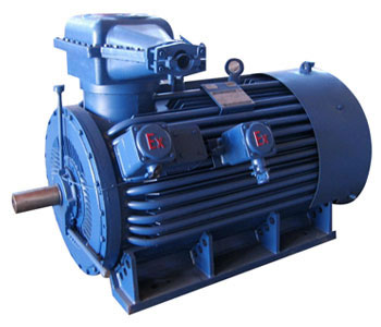 High Voltage Explosion-proof Three-phrase Induction Motor
