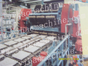 EGG TRAY MACHINE