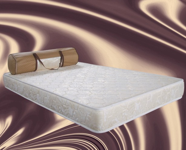 China foam mattress