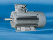 Y2 Series Explosion-Proof Three Phase Induction Motor