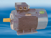 Y2E1 series high-efficiency three phase induction motors